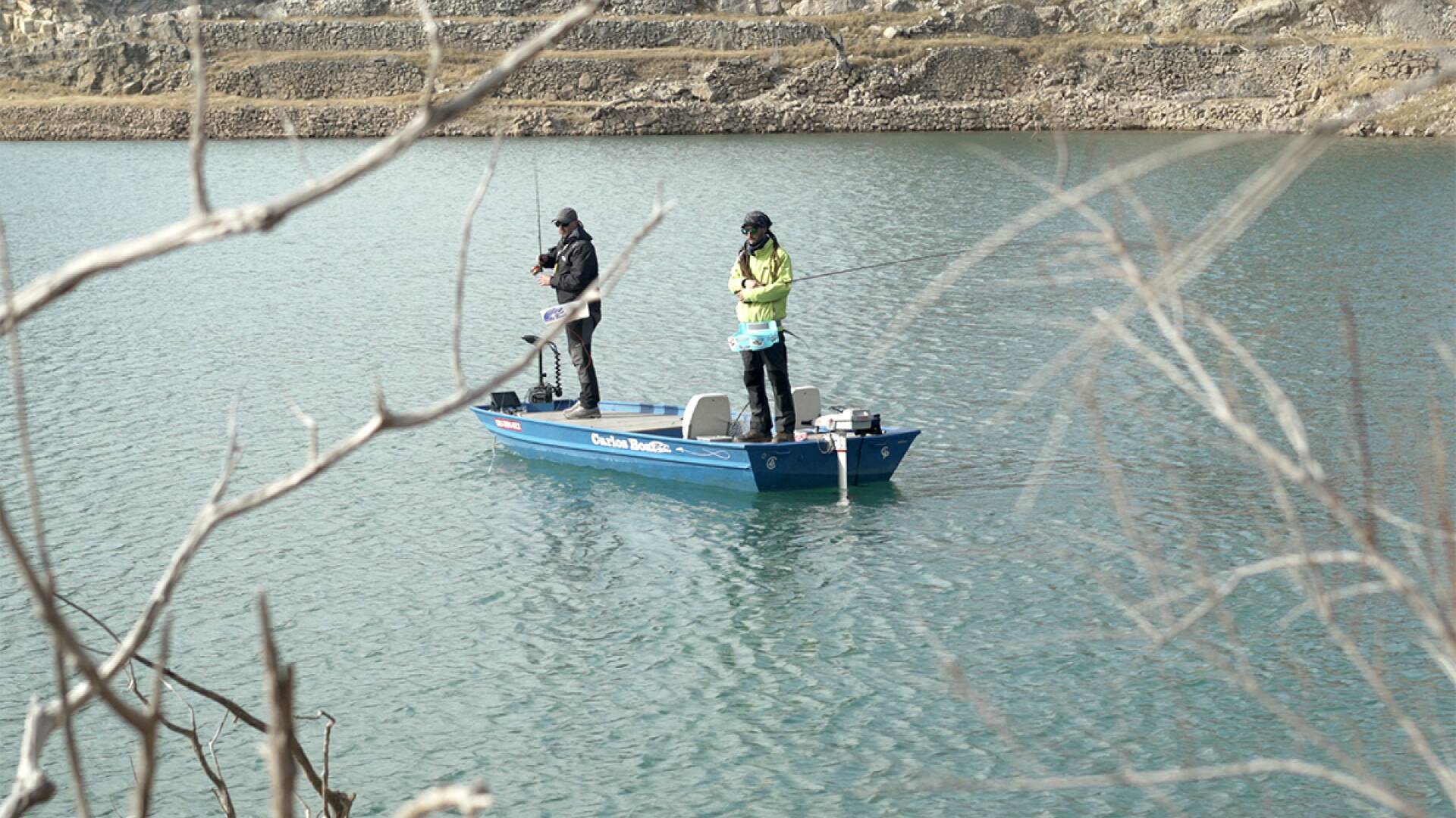 A mosca en caliza y asfalto