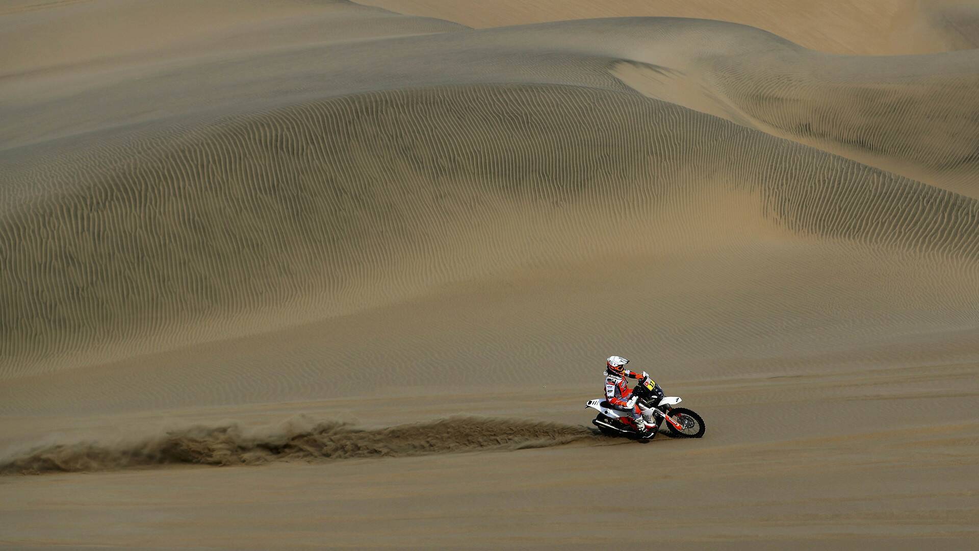 Informe Robinson (3): Laia del Desierto