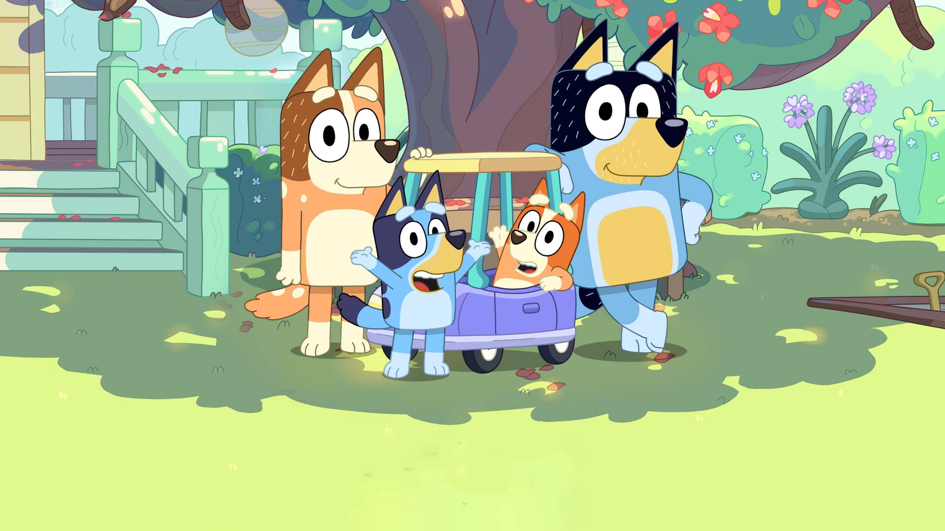 Bluey (T3): La gran final