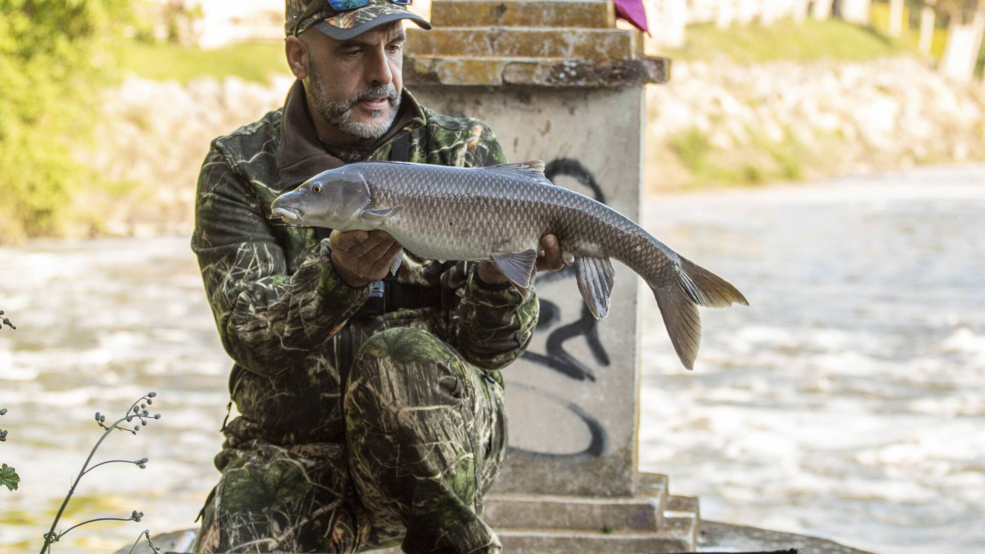 La Barbería Ibérica (T1): En busca del barbo del Ebro