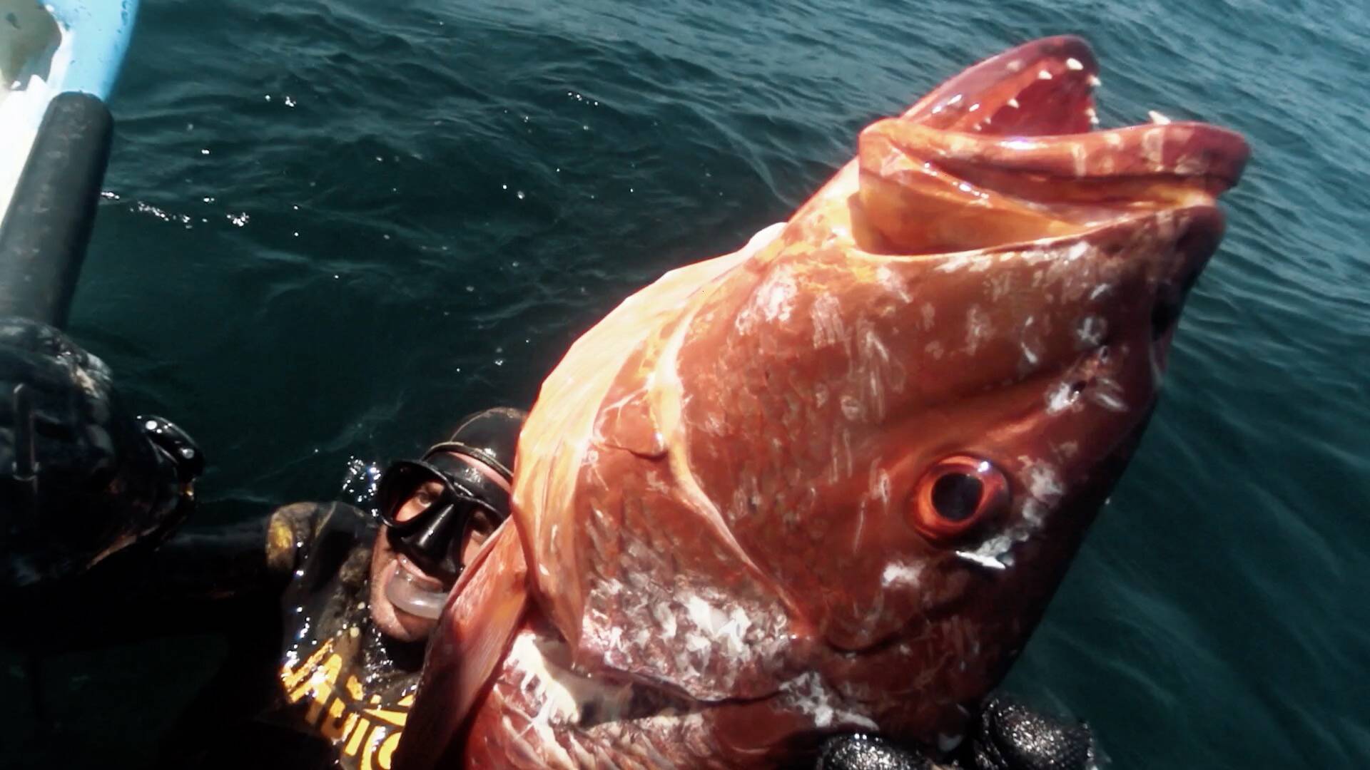 Pescasub en Baja California