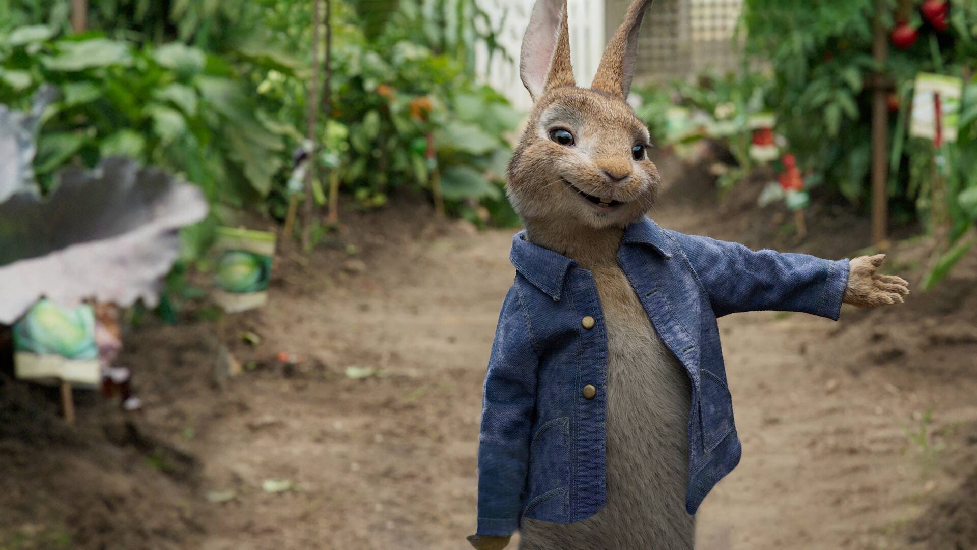 (LSE) - Peter Rabbit