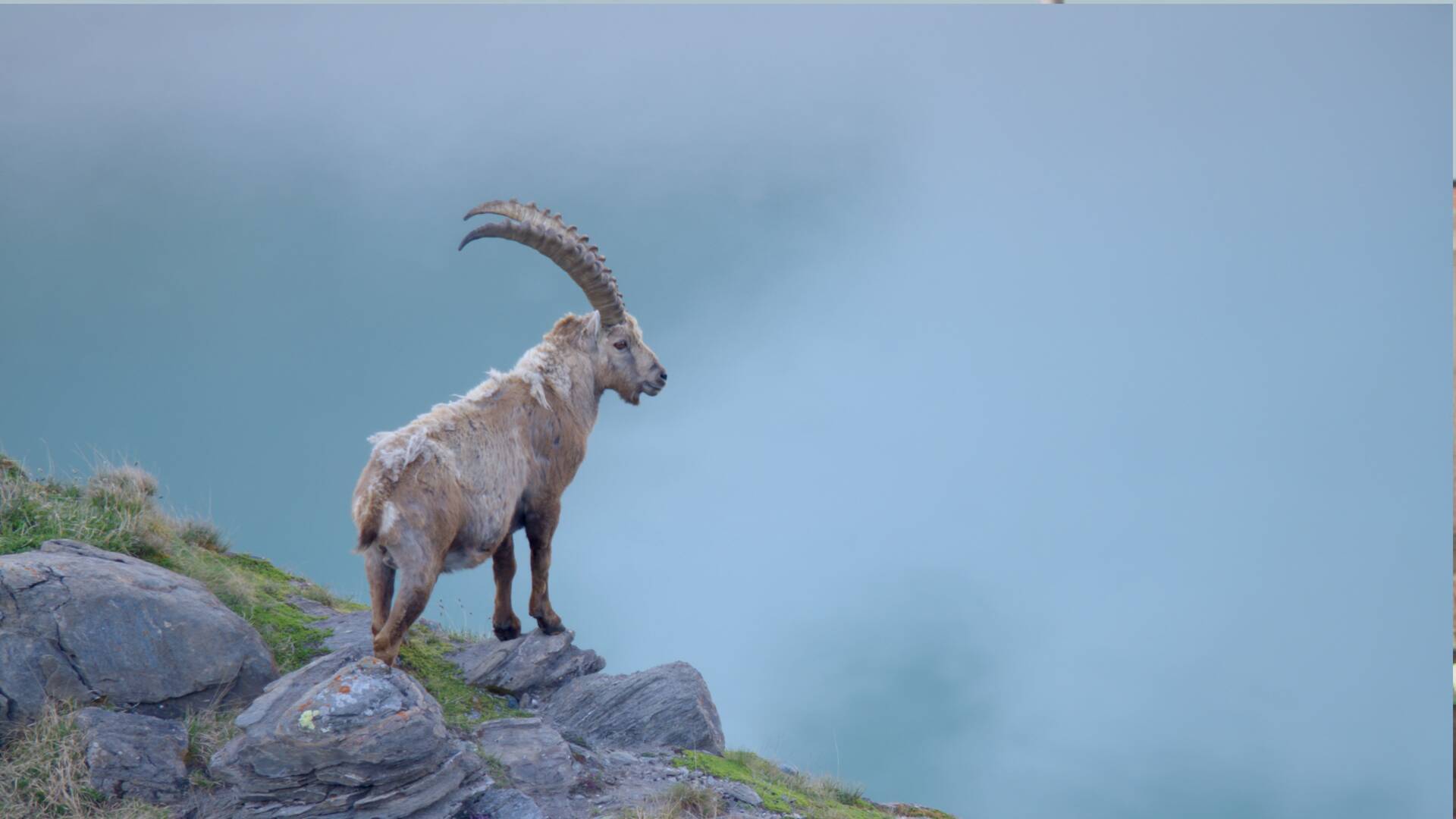 El patrimonio natural de Austria 