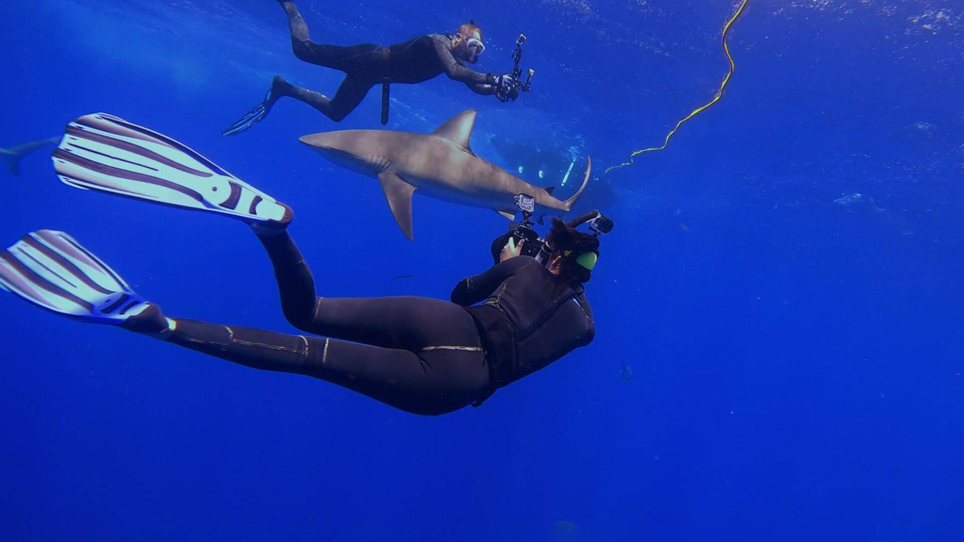 Los tiburones del volcán: Hawái