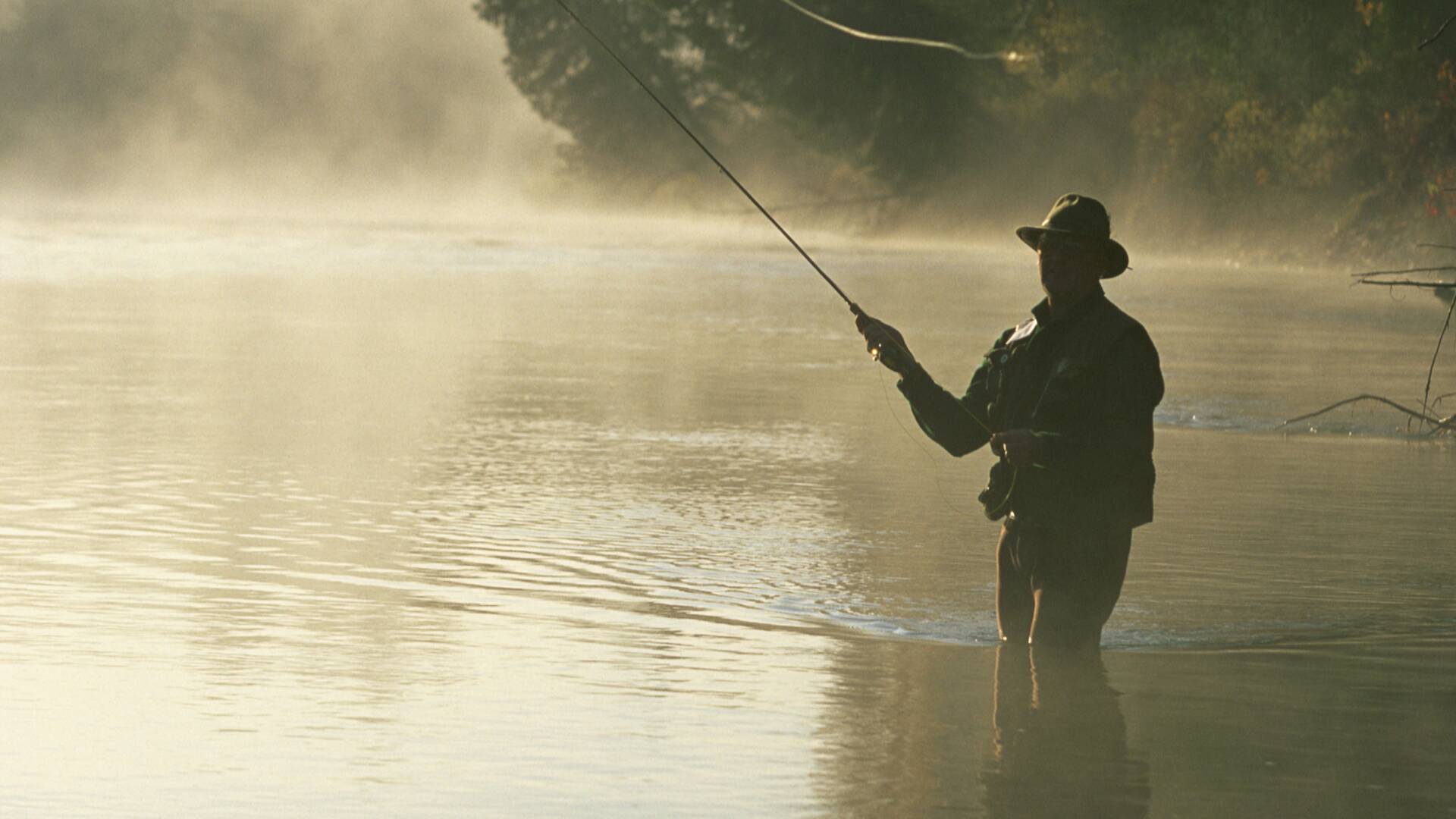 El rey del río: Rivière Mitis