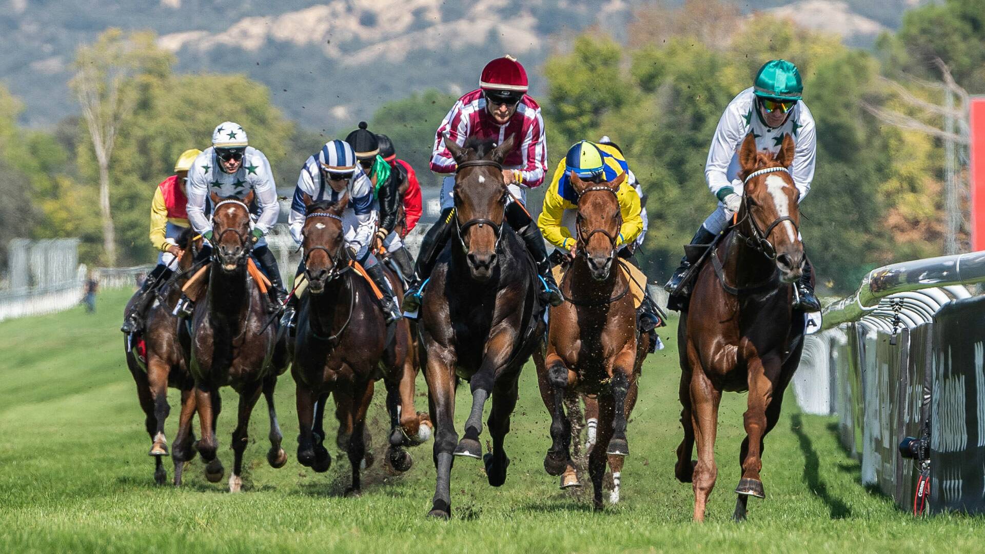 Carreras de... (2024): Hipódromo de la Zarzuela 15/09/2024