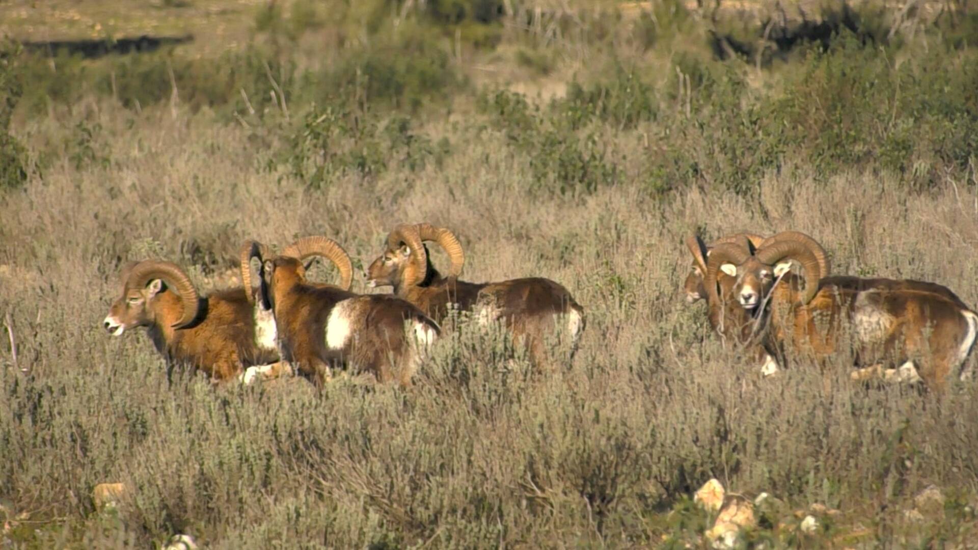 Tradición montera en La Noria