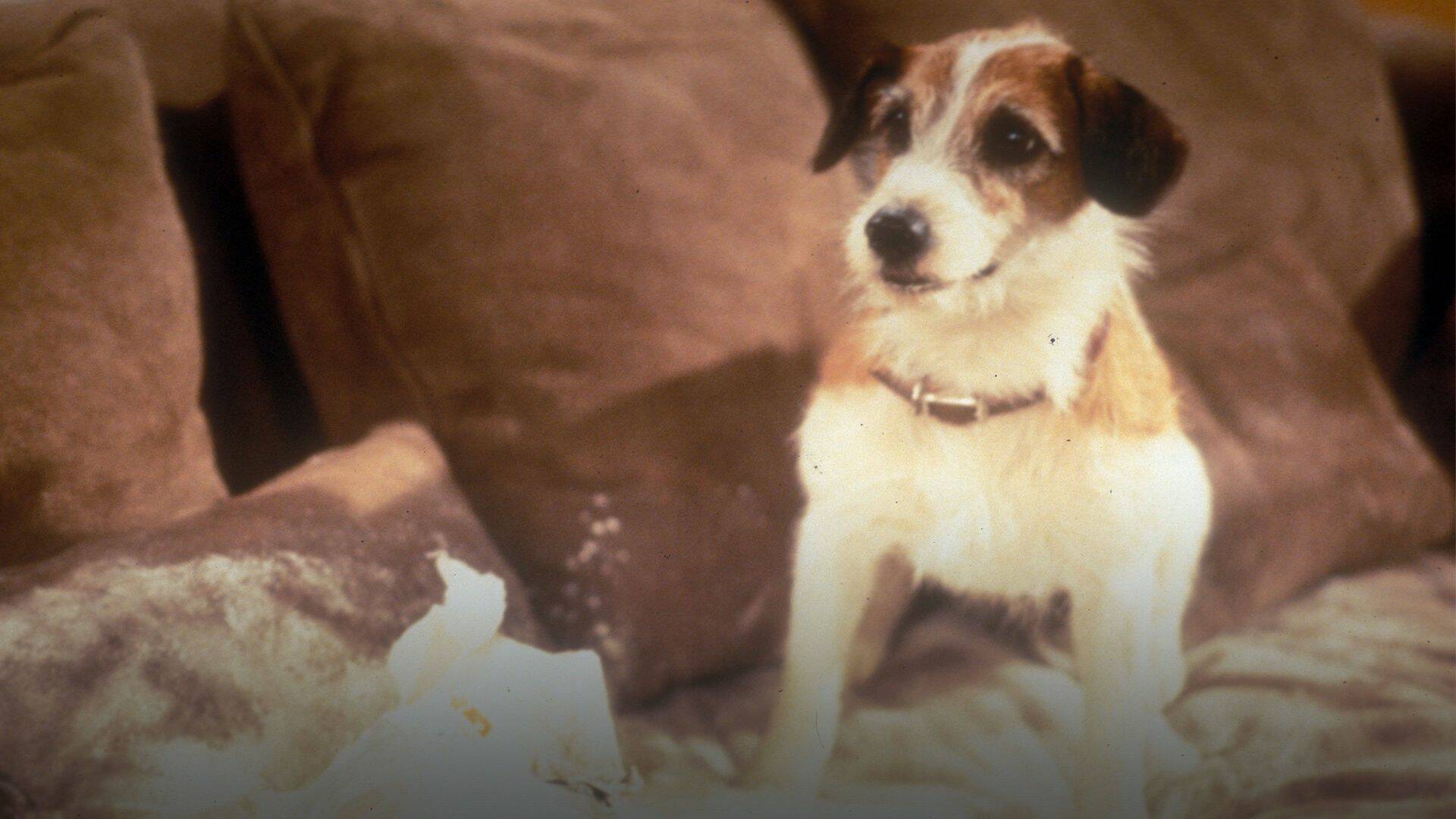 Frasier (T2)