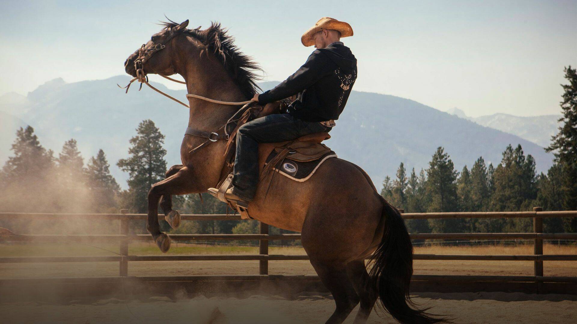 Yellowstone (T1): Ep.5 Vuelta a casa