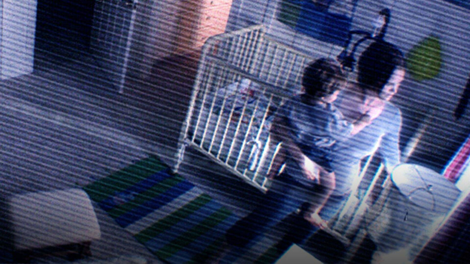 Paranormal Activity 2