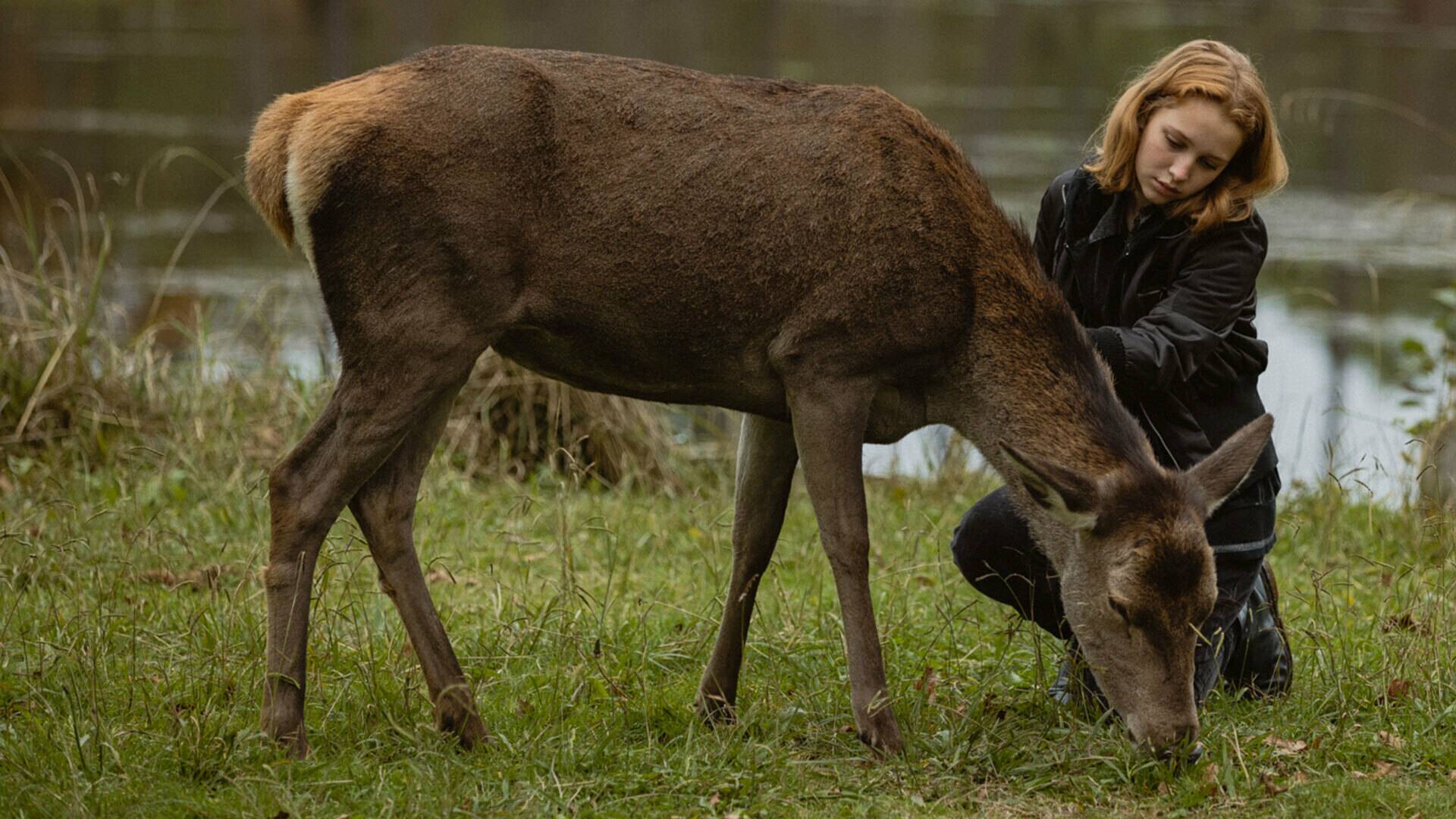 La niña del corazón de cerdo