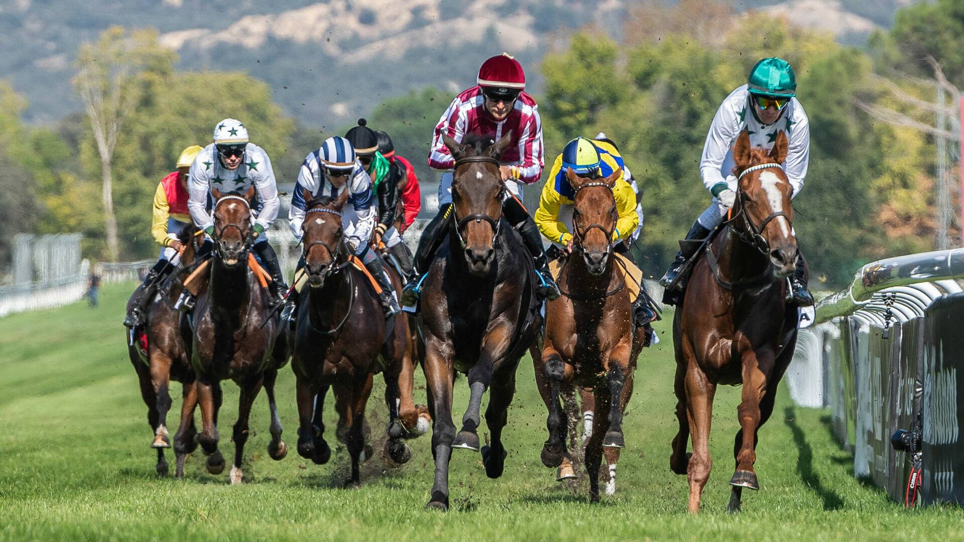 Hipódromo de La Zarzuela