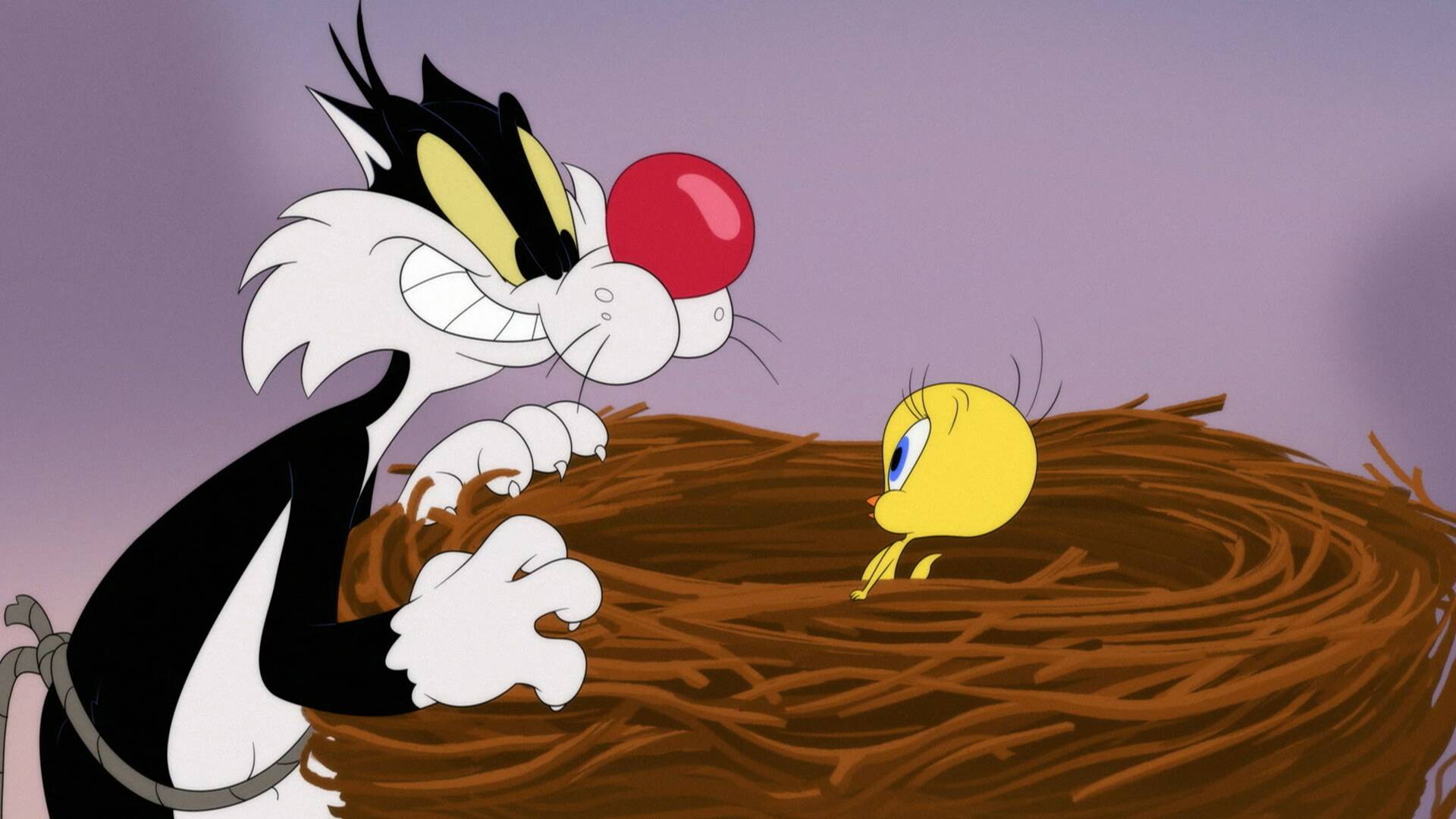 Looney Tunes... (T2): La montaña sin fin / Gag del poste telefónico 2: Tirolina / Surfeando sobre señales