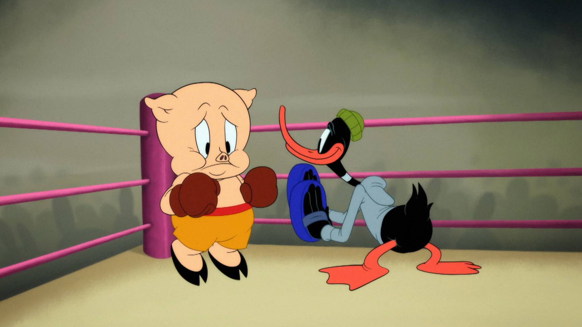 Looney Tunes Cartoons (T4)