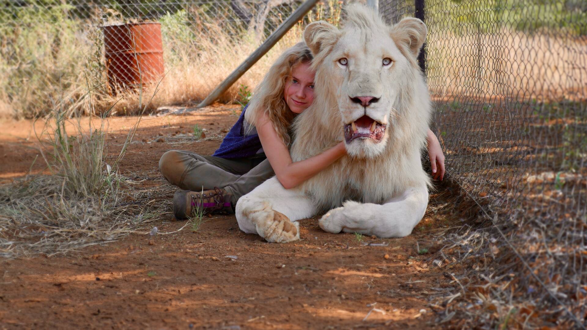 (LSE) - Mia y el león blanco