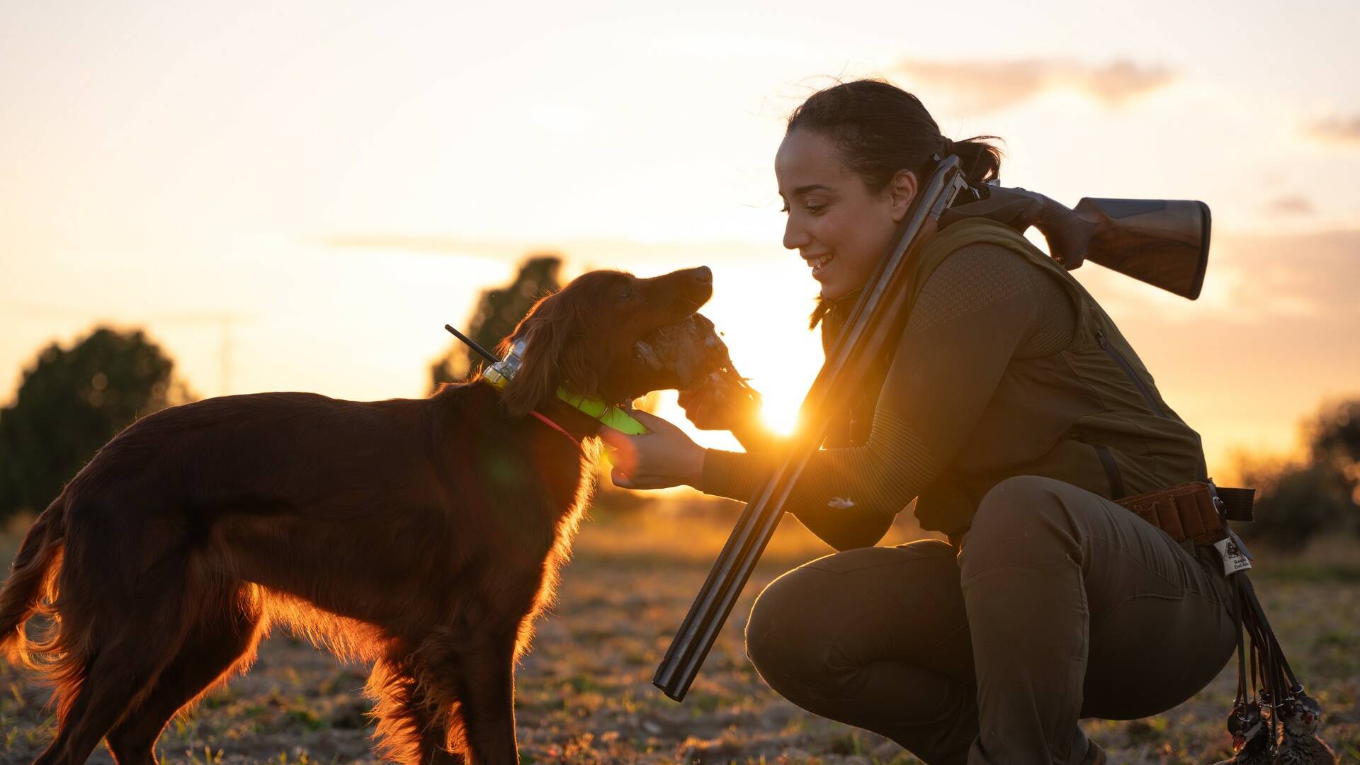 Los vientos del Setter