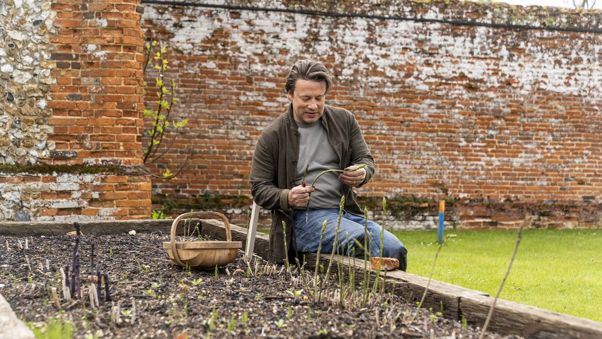 Jamie Oliver: Seasons. Spring