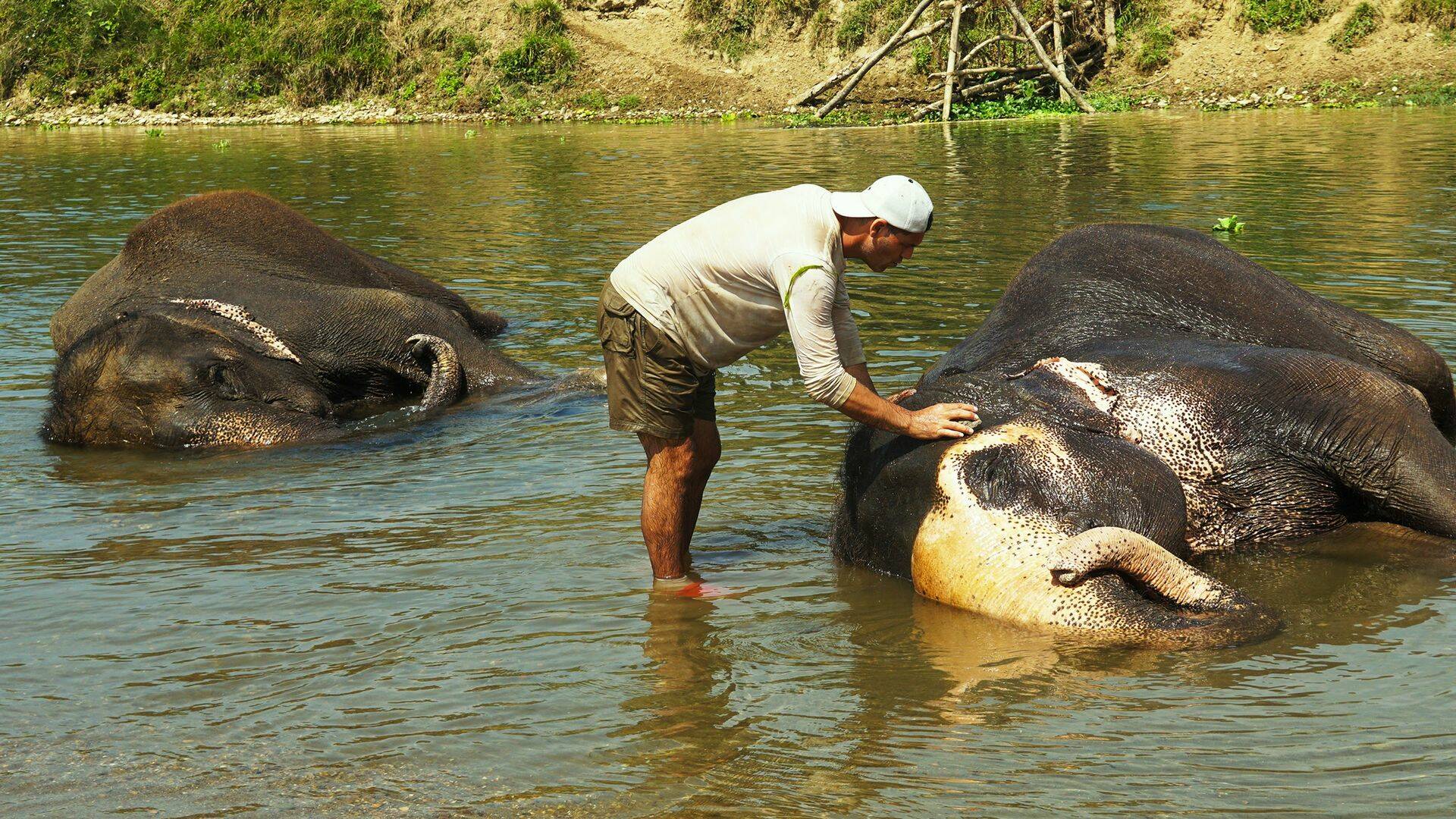 Wild Frank en India, Season 1: Ep.2