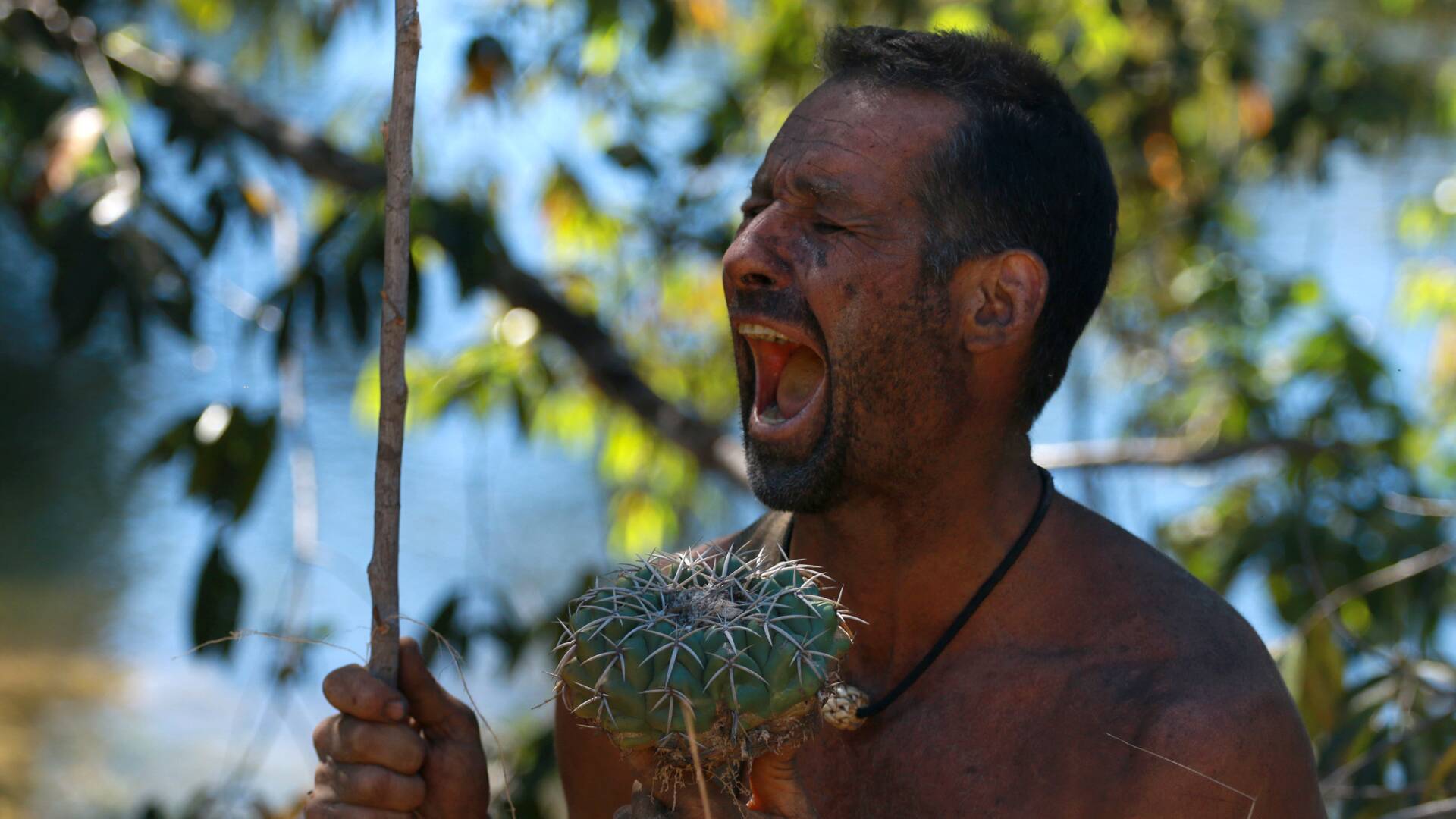 Aventura en pelotas (T9): La fruta prohibida