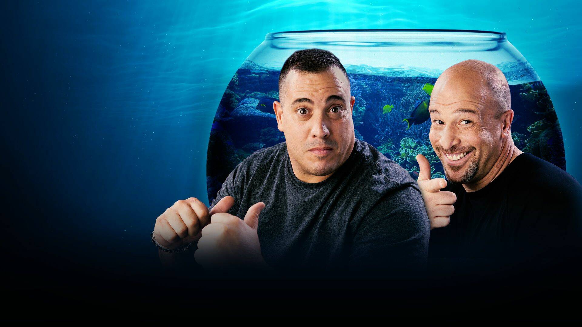 Acuarios XXL (T4): Cenando con los peces