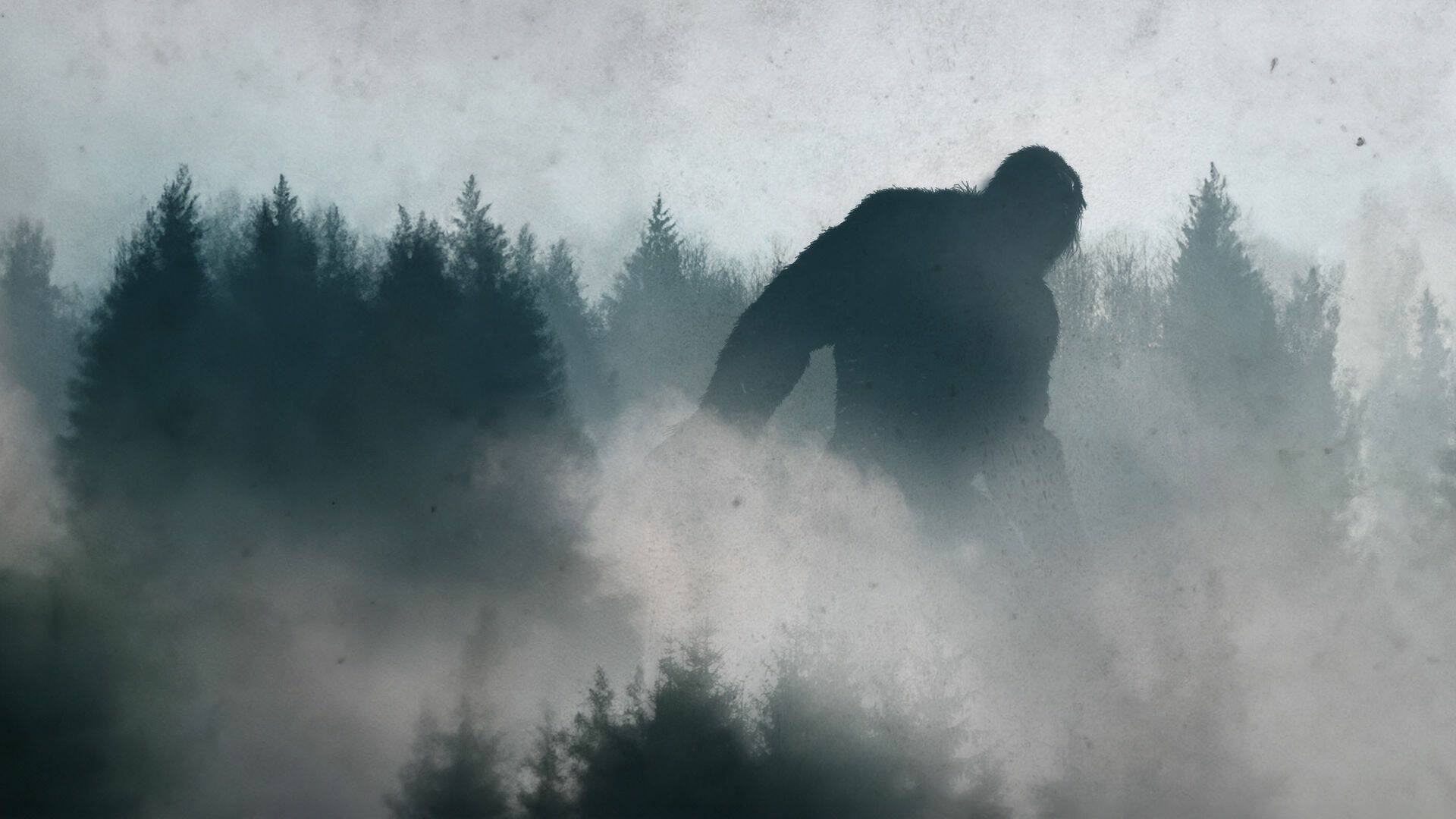 Bigfoot, asesino... (T1): Terror en el campamento