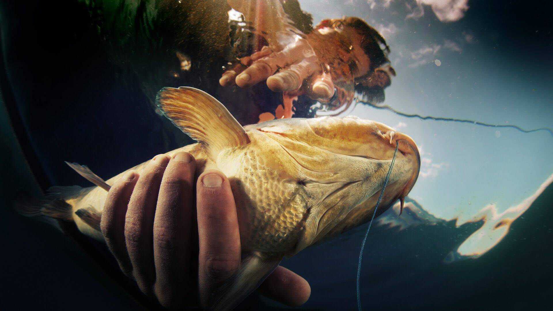 Pesca alternativa, Season 2 