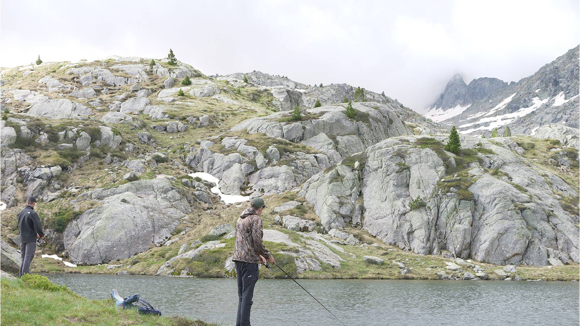 Truchas en los lagos de Colomers