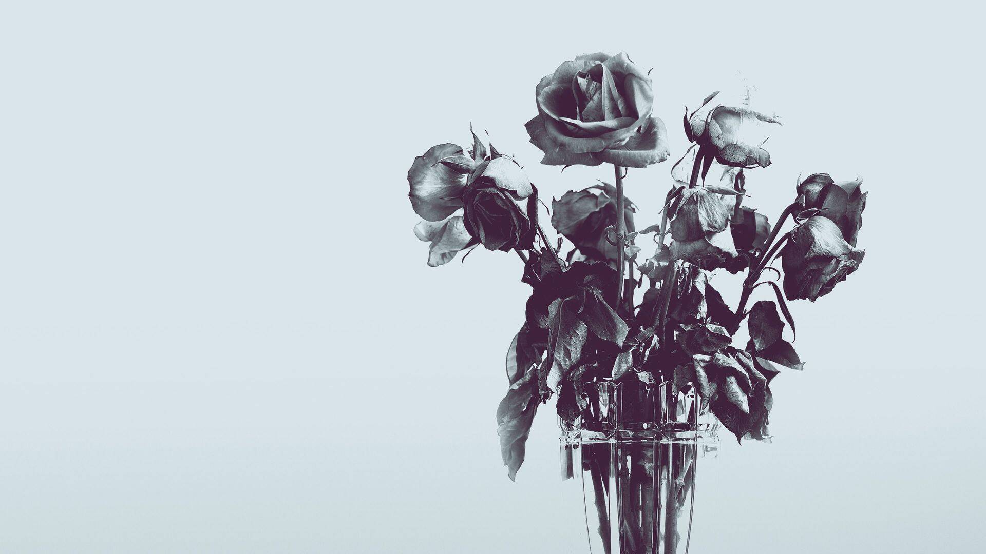 ¿Amor verdadero?: Problemas a los 22 años