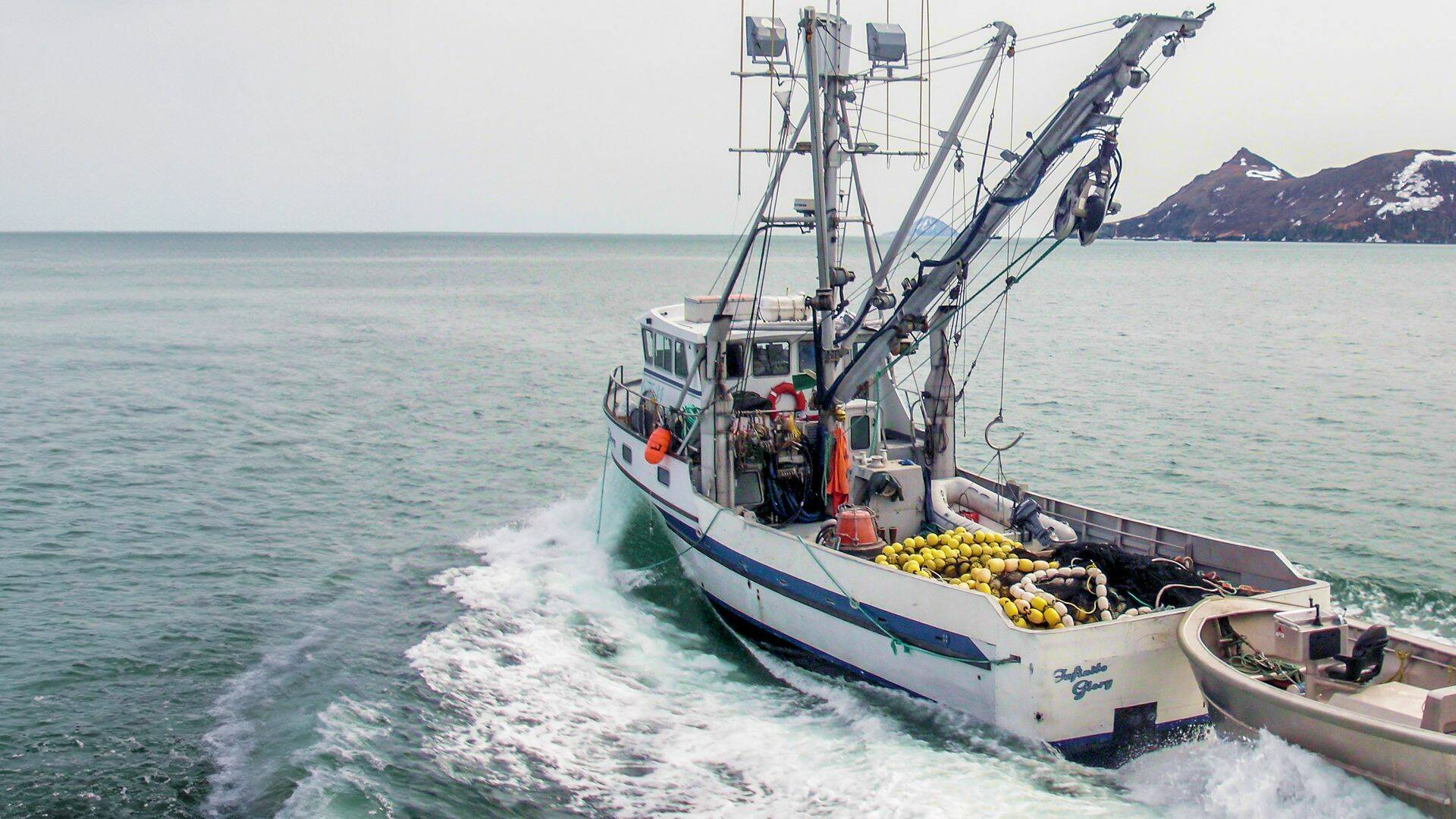 Bristol Bay Brawl