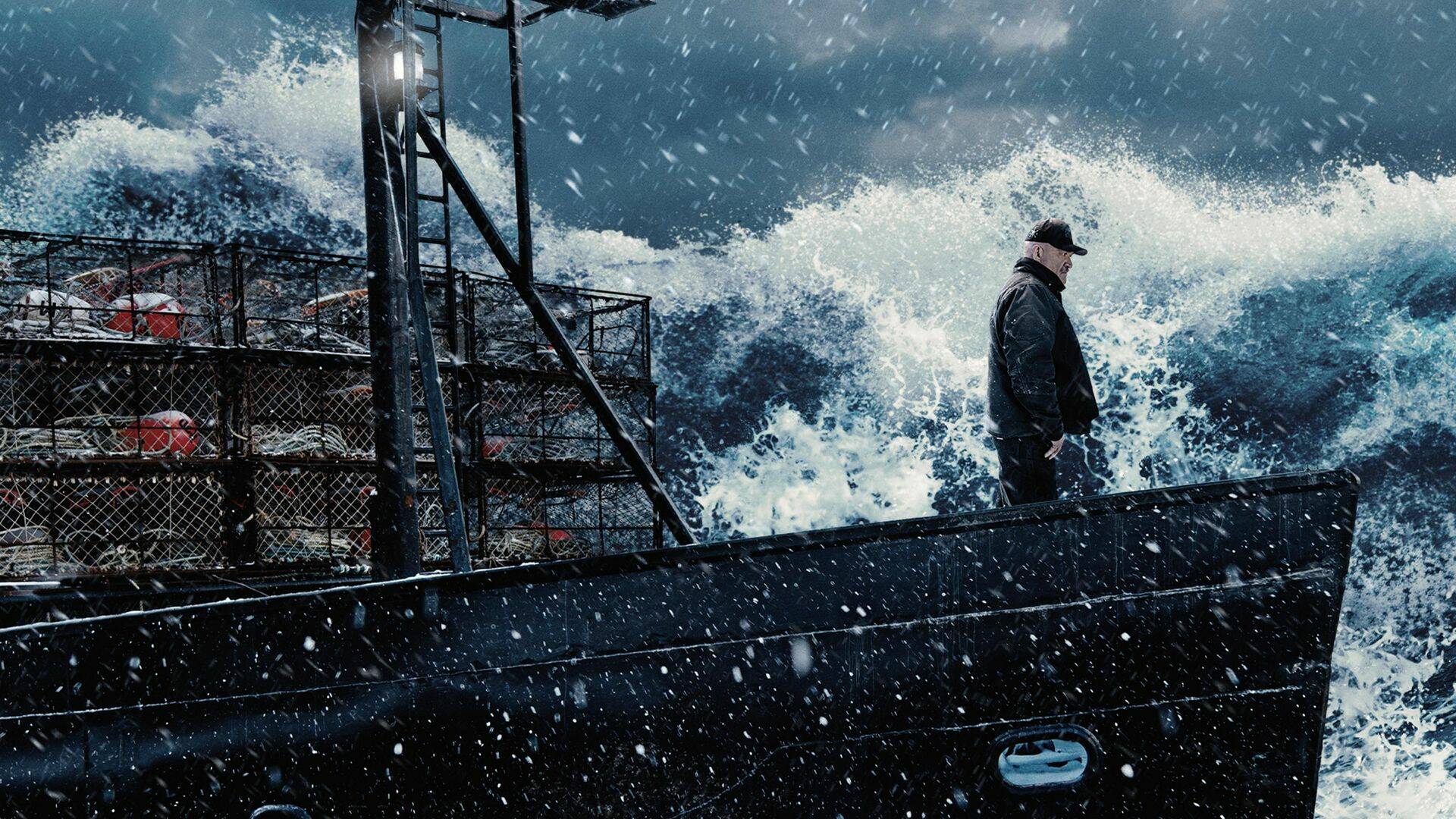 Pesca radical (T20): La finalidad de las marsopas