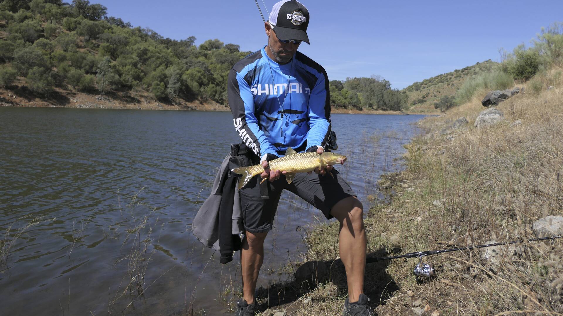 Basses y barbos al jig