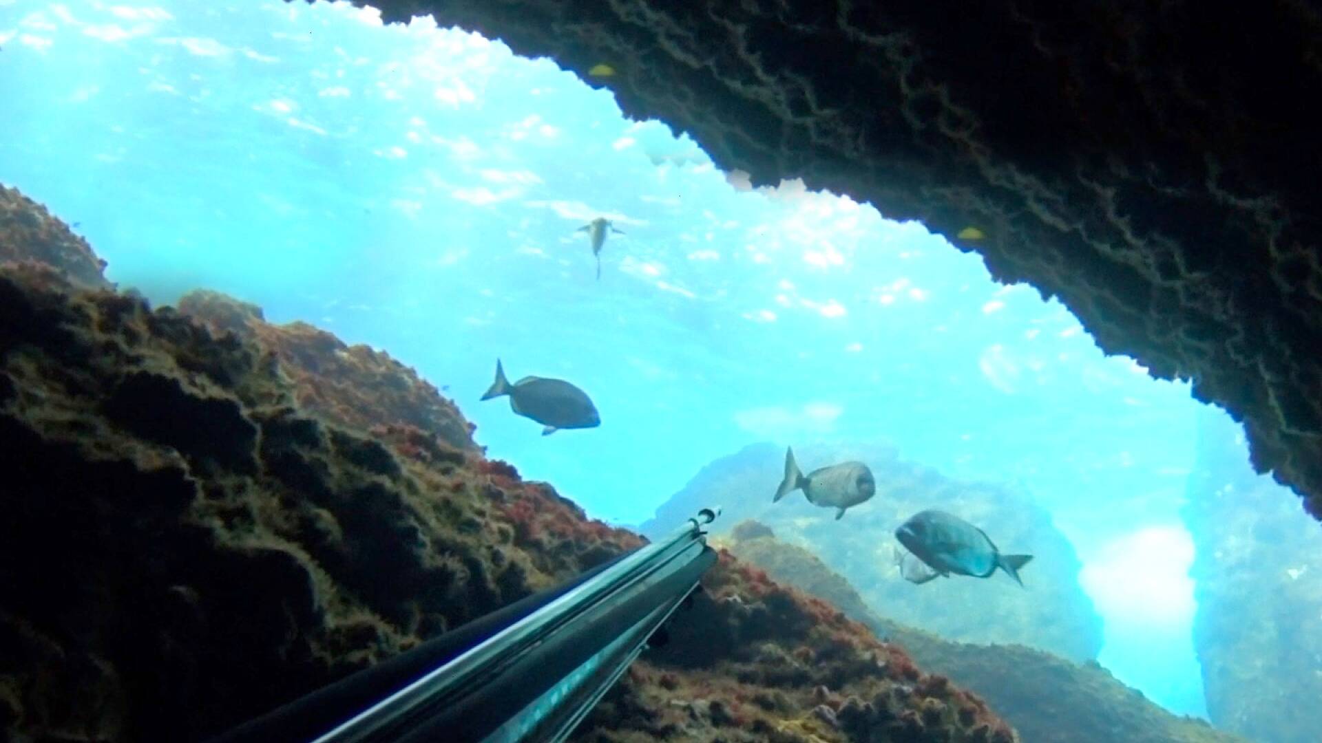 Pescasub en Elantxobe