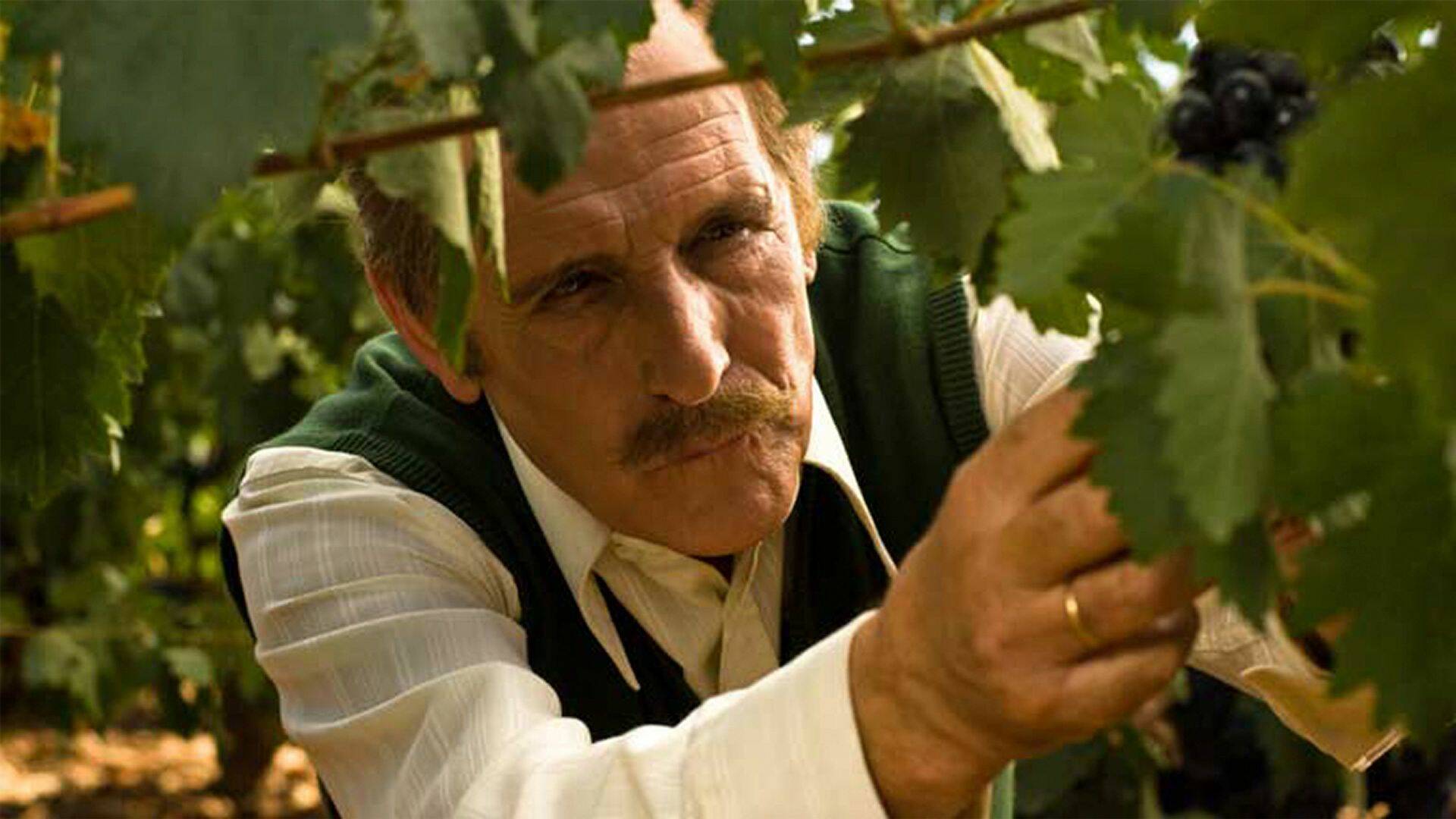 Gran Reserva (T1): Ep.2 Cuando todos ocultan algo