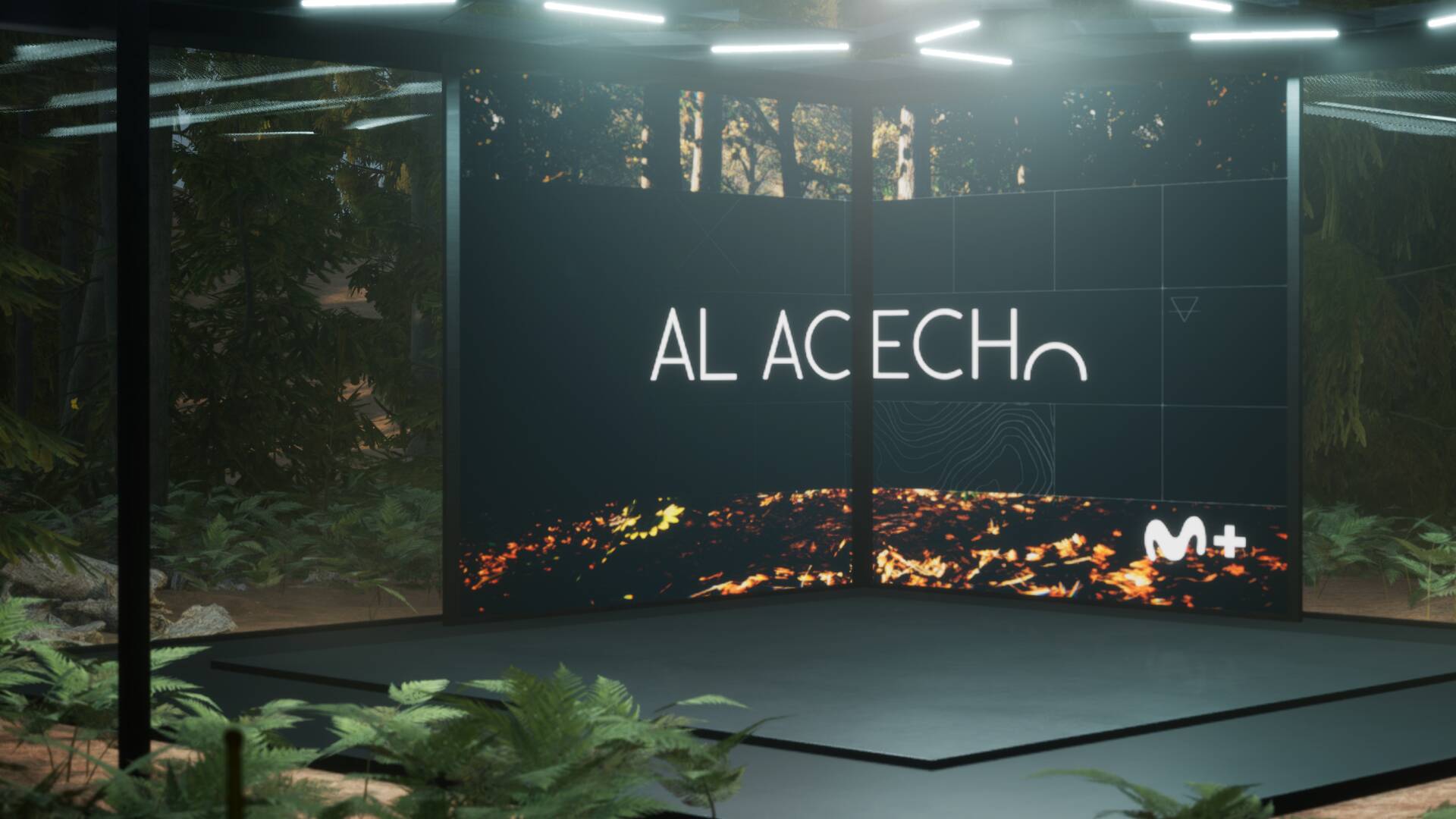 Al acecho caza (T3): Ep.11