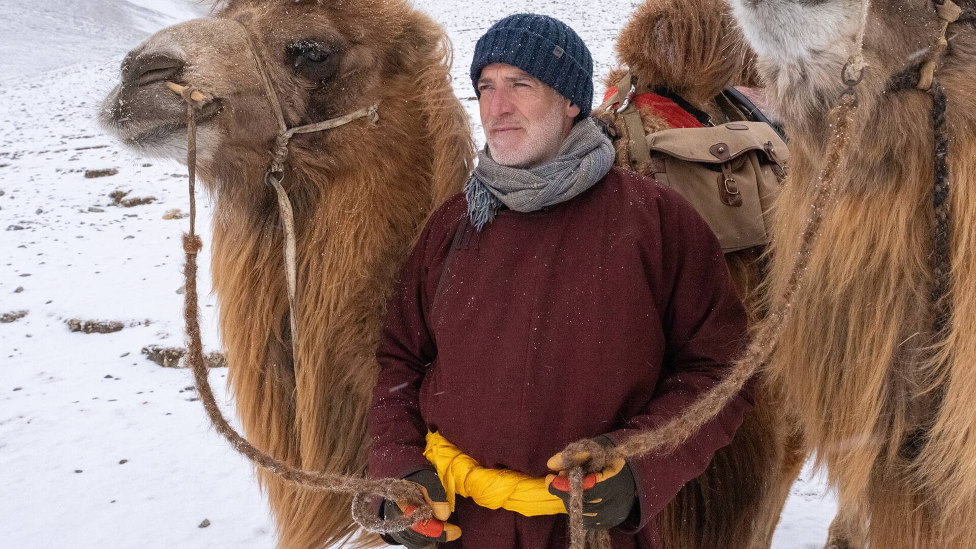 Aventura en camello con Gordon Buchanan