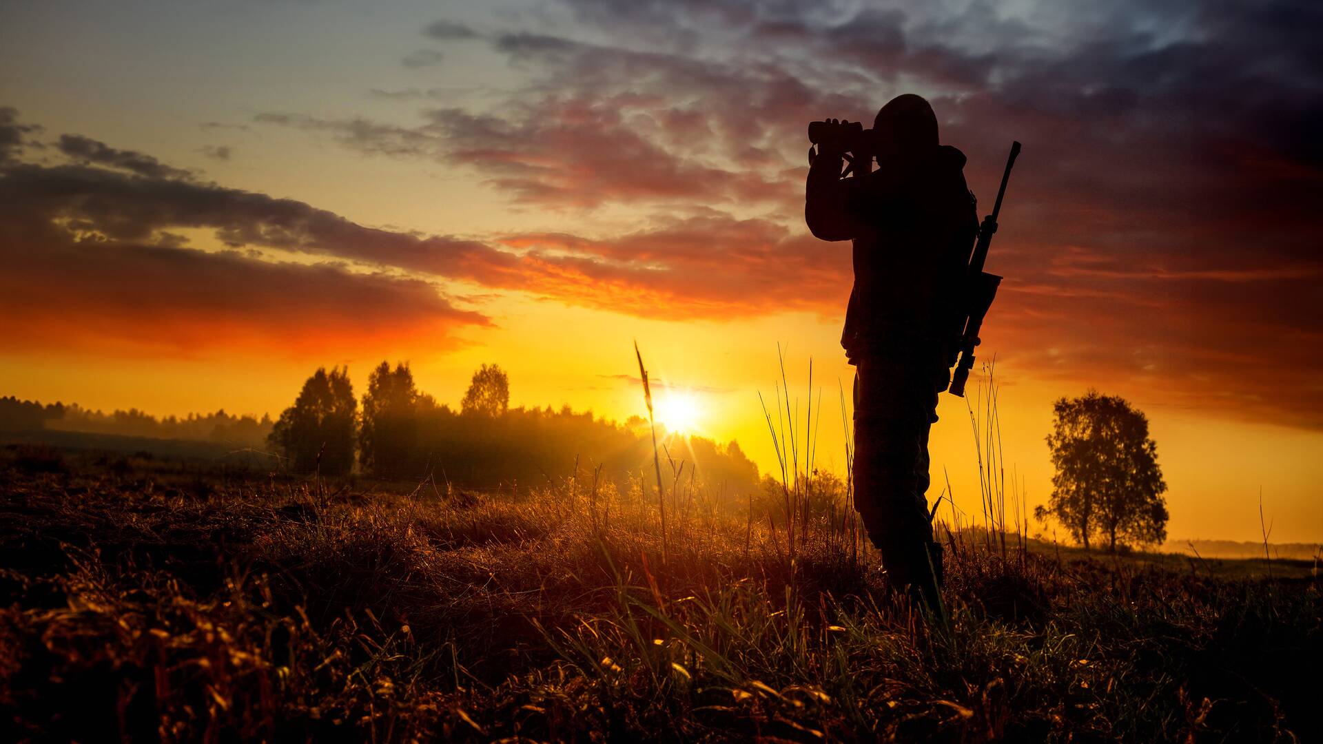 Wild hunting (T3)