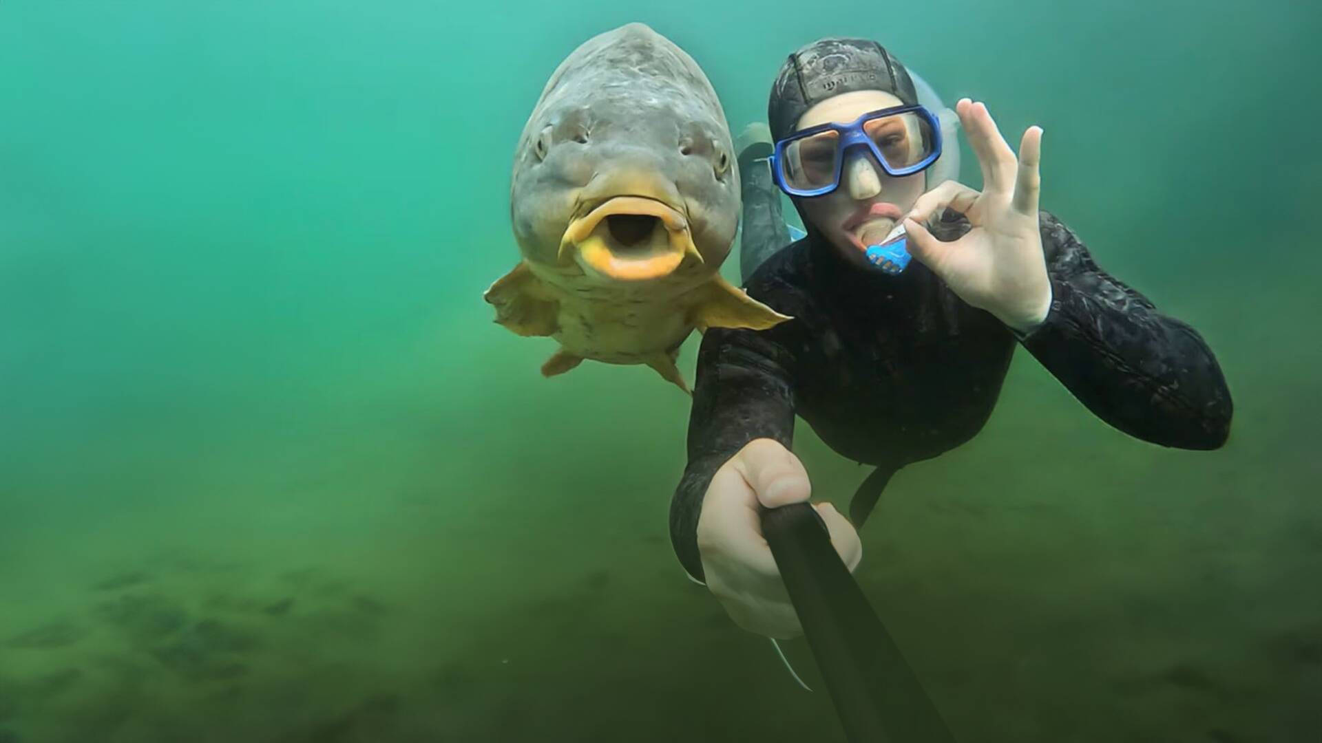 La aventura de la pesca (T1): Ep.1