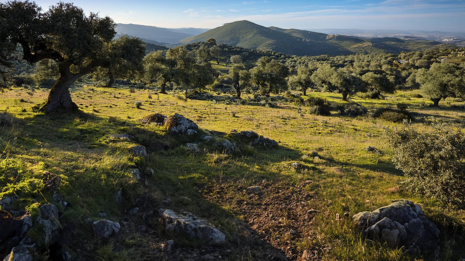 Monteando en el Guadiana portugués
