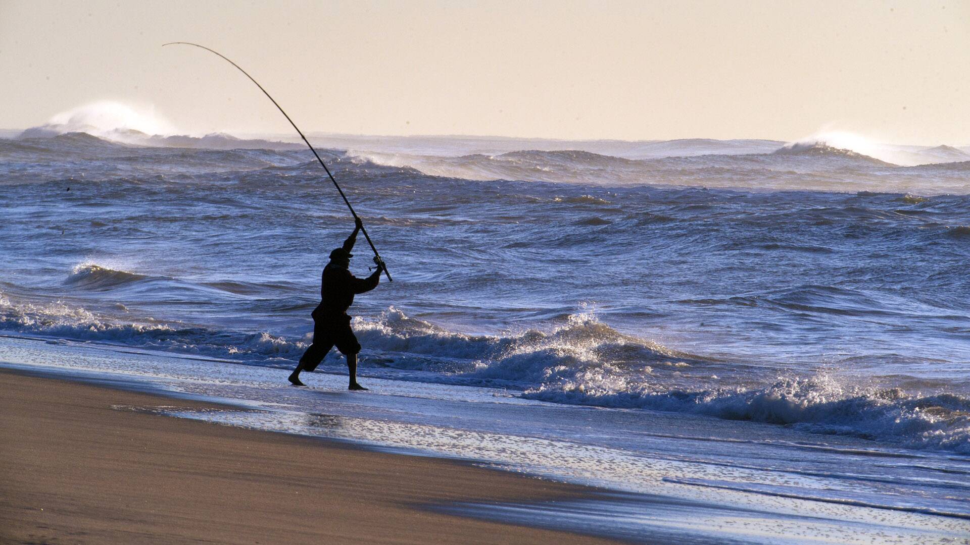 Róbalos en El Palmar