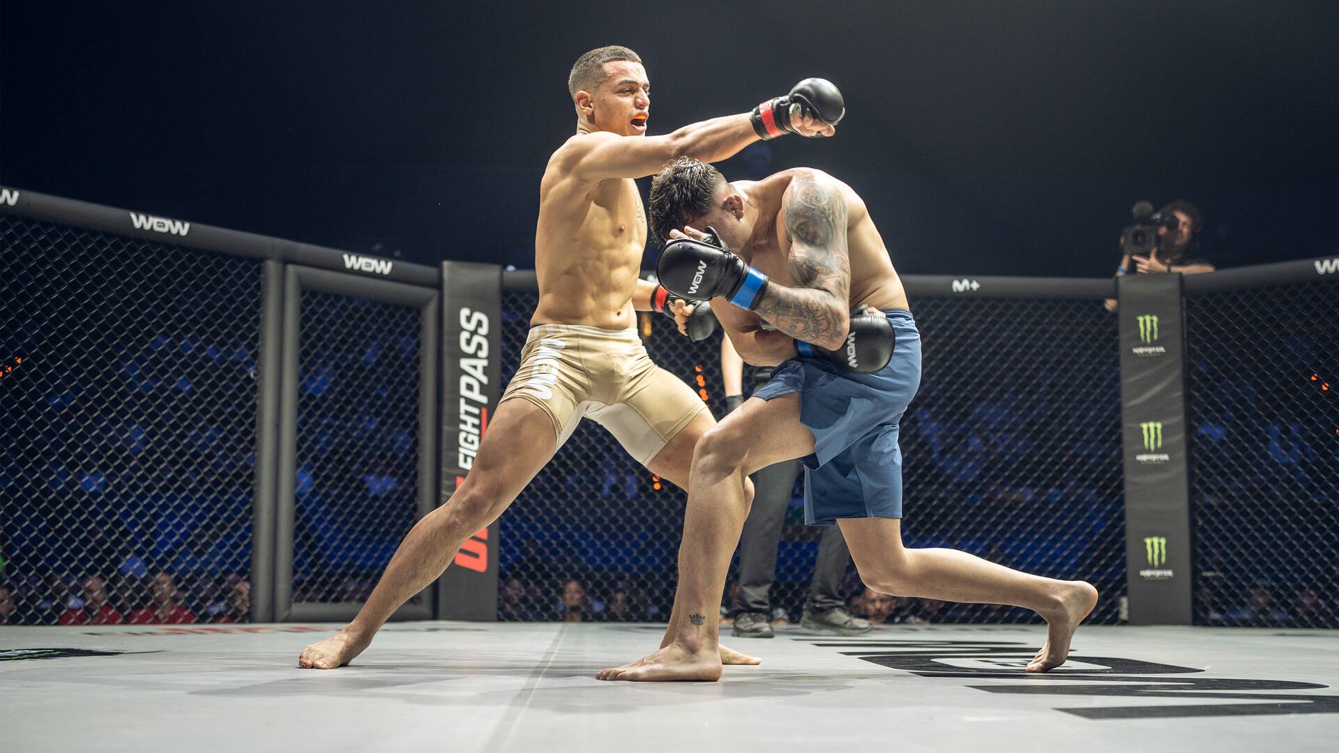 WOW 19 (Alicante). Artes Marciales Mixtas