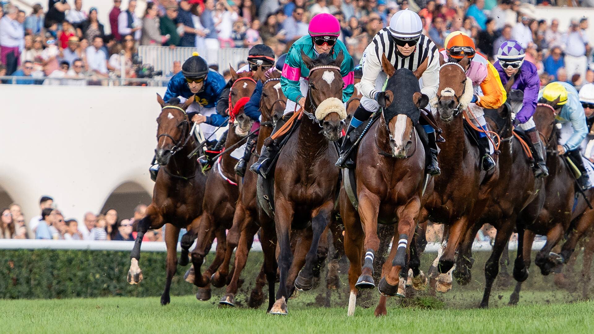 Carreras de... (2025): 08/06/2025 Hipódromo de la Zarzuela