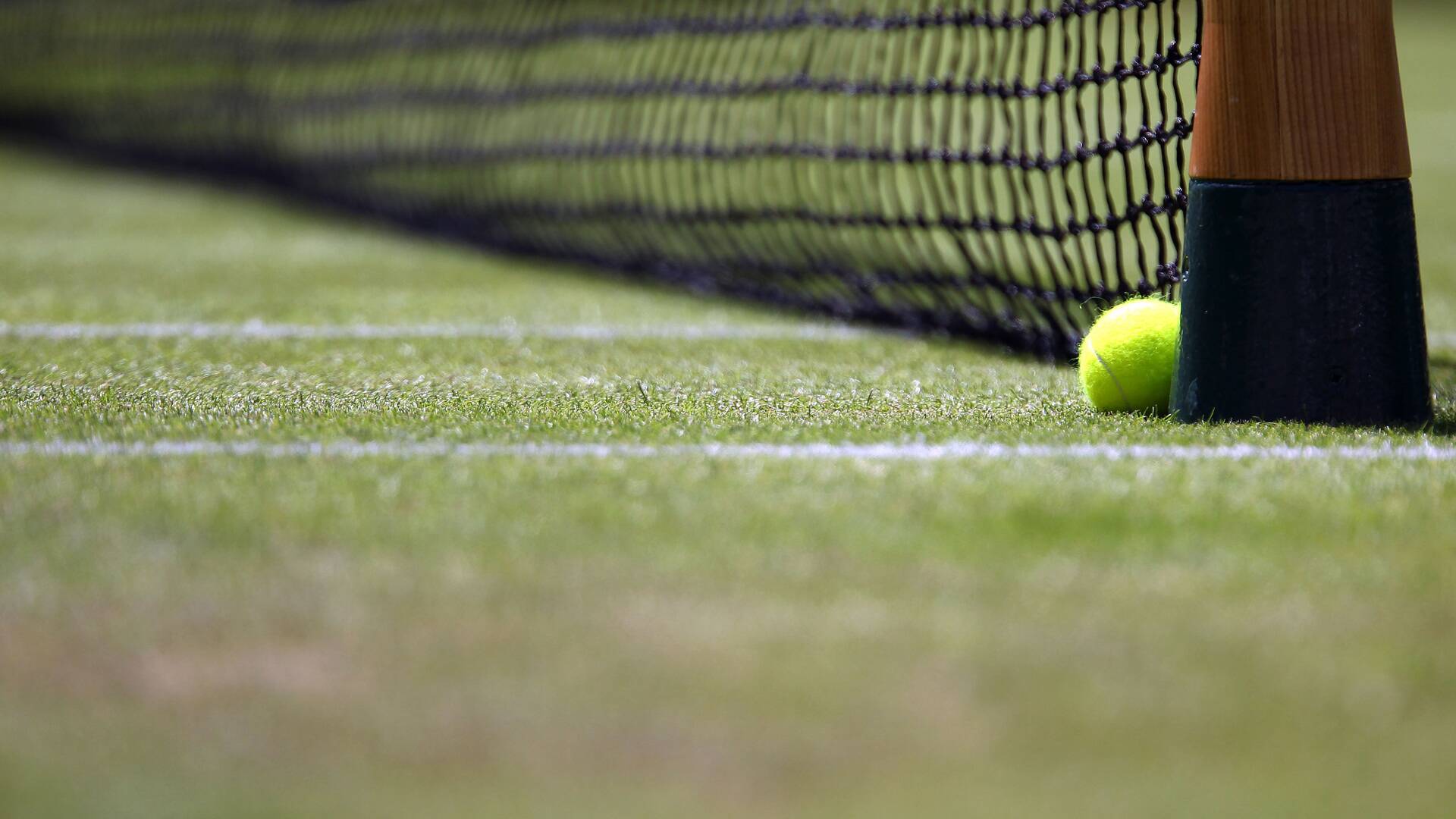 Wimbledon (2025): TBC