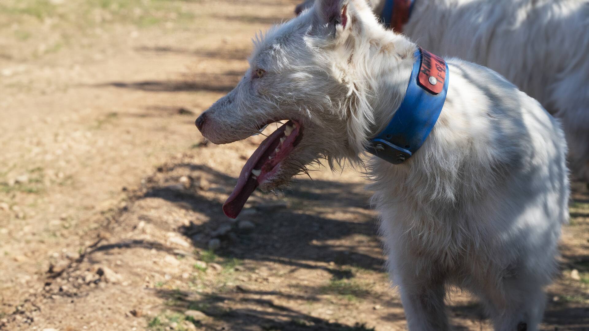 Monteando en el centro de Portugal