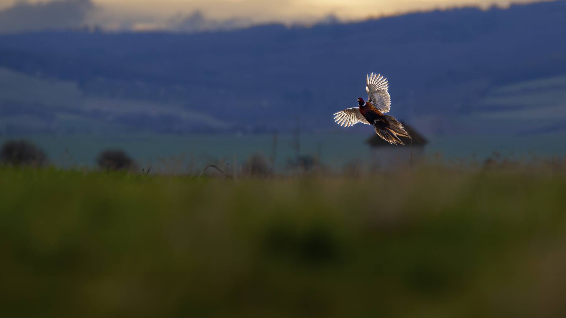 De viaje: la Rumanía menor