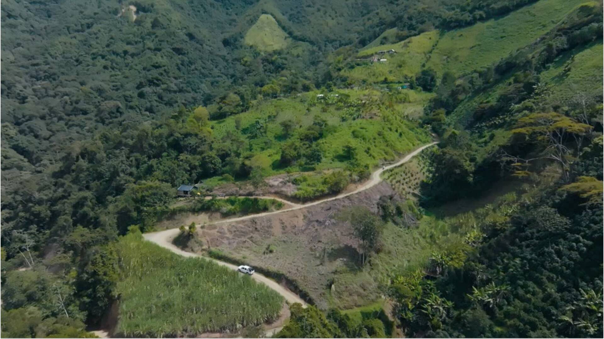 Colombia, Guerra Por El Oro