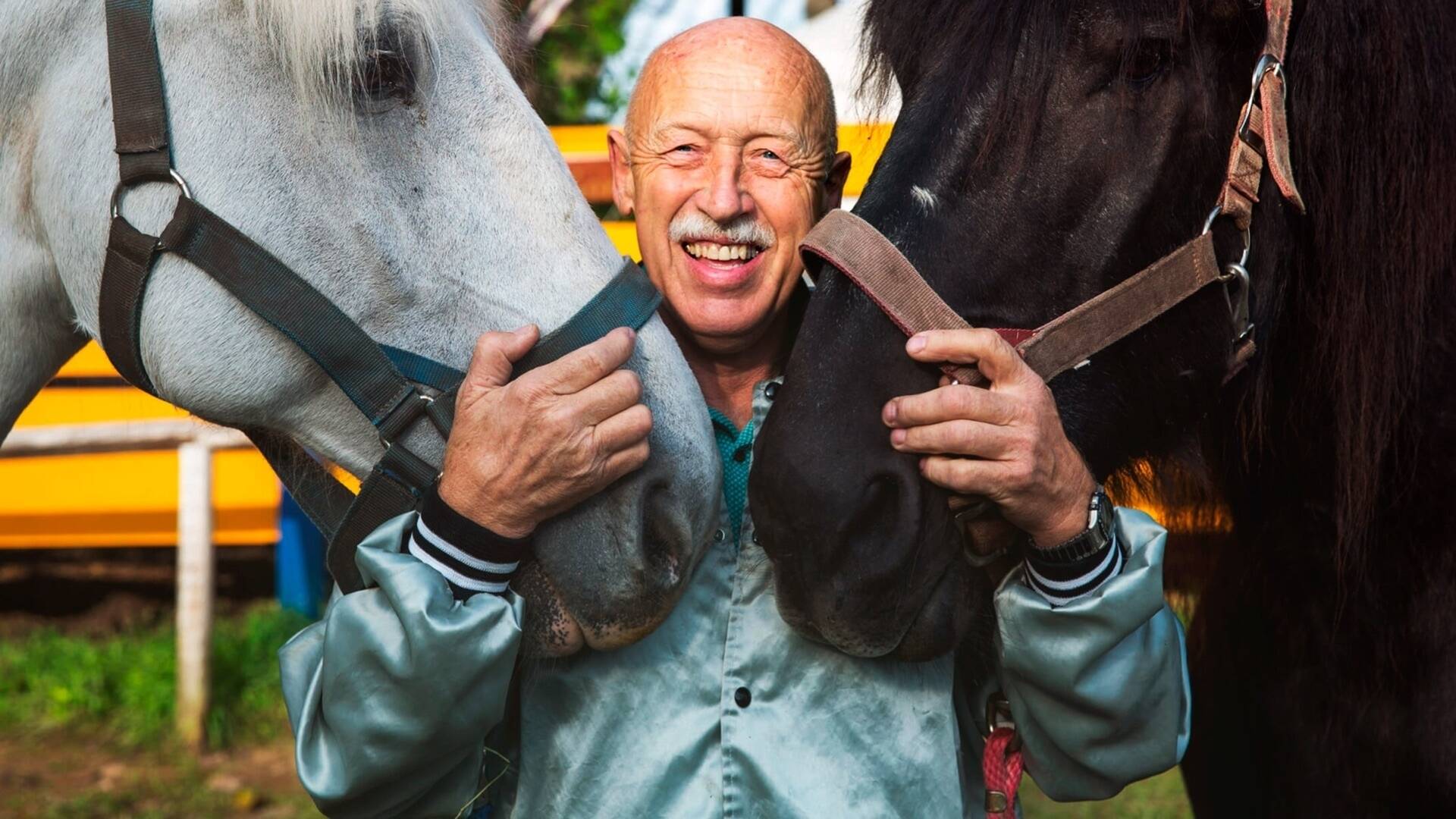 Doctor Pol