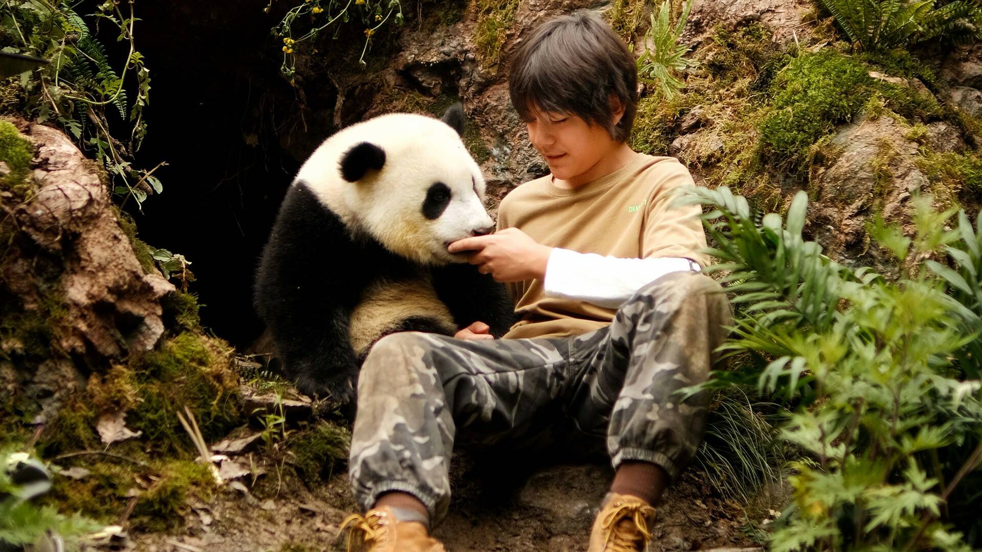 Moon, mi amigo panda
