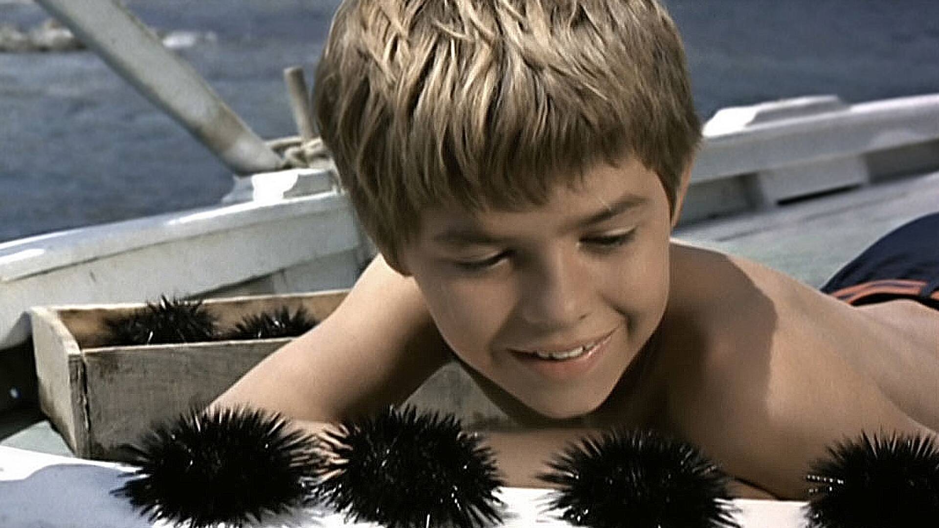 Los pianos mecánicos