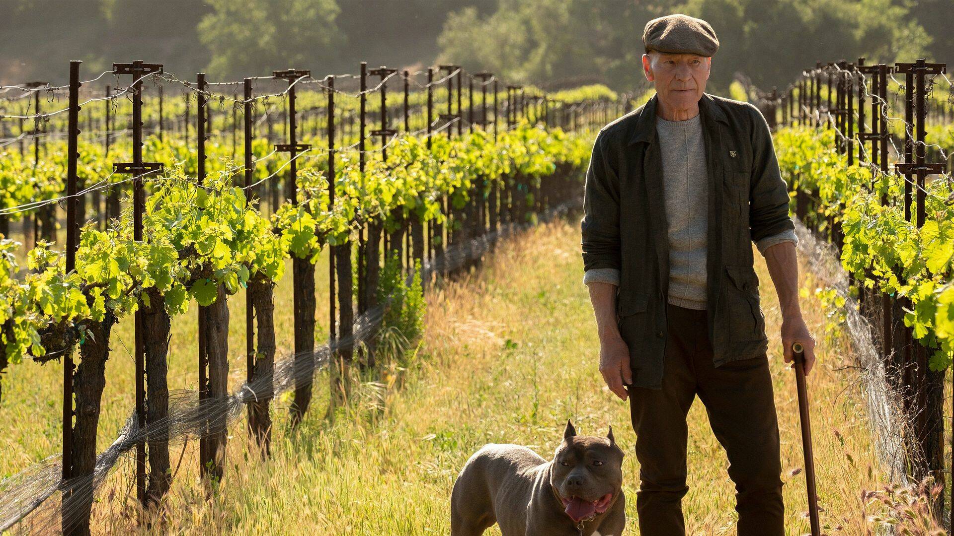 Star Trek: Picard (T1): Ep.7 Nepenthe