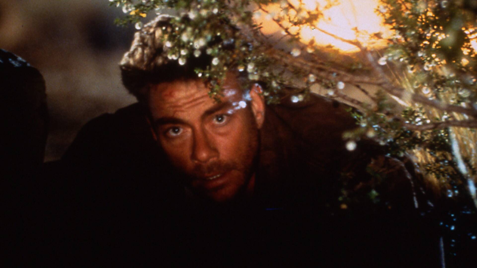 Van Damme's Inferno